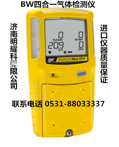 ôBW GasAlertMax XT II ʽĺһ